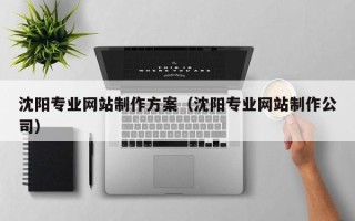 邓州沈阳专业网站制作方案（沈阳专业网站制作公司）